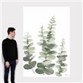 Picture of Eucalyptus Growing II  _GroupedProduct_Rectangle_Portrait_Canvas_