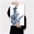 Picture of Navy Blue Eucalyptus I  _GroupedProduct_Rectangle_Portrait_Canvas_