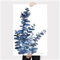 Picture of Navy Blue Eucalyptus I  _GroupedProduct_Rectangle_Portrait_Canvas_