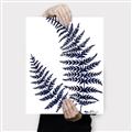 Picture of Fern on white  II _GroupedProduct_Rectangle_Portrait_Canvas_