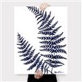 Picture of Fern on white  II _GroupedProduct_Rectangle_Portrait_Canvas_