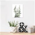 Picture of Eucalyptus Growing I _GroupedProduct_Rectangle_Portrait_Canvas_