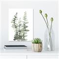 Picture of Eucalyptus Growing I _GroupedProduct_Rectangle_Portrait_Canvas_