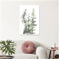 Picture of Eucalyptus Growing I _GroupedProduct_Rectangle_Portrait_Canvas_