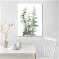 Picture of Eucalyptus Growing I _GroupedProduct_Rectangle_Portrait_Canvas_