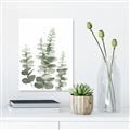 Picture of Eucalyptus Growing II  _GroupedProduct_Rectangle_Portrait_Canvas_
