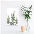 Picture of Eucalyptus Growing II  _GroupedProduct_Rectangle_Portrait_Canvas_