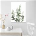 Picture of Eucalyptus Growing II  _GroupedProduct_Rectangle_Portrait_Canvas_
