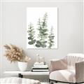 Picture of Eucalyptus Growing II  _GroupedProduct_Rectangle_Portrait_Canvas_