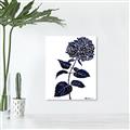 Picture of Blue Flower on White II  _GroupedProduct_Rectangle_Portrait_Canvas_