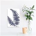 Picture of Fern on white  II _GroupedProduct_Rectangle_Portrait_Canvas_