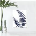 Picture of Fern on white  II _GroupedProduct_Rectangle_Portrait_Canvas_