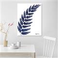 Picture of Fern on white I _GroupedProduct_Rectangle_Portrait_Canvas_