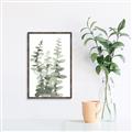 Picture of Eucalyptus Growing I _GroupedProduct_Rectangle_Portrait_Canvas_Framed_