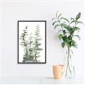 Picture of Eucalyptus Growing I _GroupedProduct_Rectangle_Portrait_Canvas_Framed_