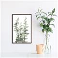 Picture of Eucalyptus Growing I _GroupedProduct_Rectangle_Portrait_Canvas_Framed_