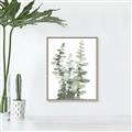 Picture of Eucalyptus Growing I _GroupedProduct_Rectangle_Portrait_Canvas_Framed_