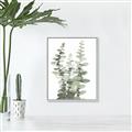 Picture of Eucalyptus Growing I _GroupedProduct_Rectangle_Portrait_Canvas_Framed_