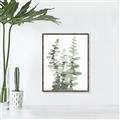 Picture of Eucalyptus Growing I _GroupedProduct_Rectangle_Portrait_Canvas_Framed_