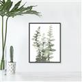 Picture of Eucalyptus Growing I _GroupedProduct_Rectangle_Portrait_Canvas_Framed_
