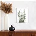 Picture of Eucalyptus Growing I _GroupedProduct_Rectangle_Portrait_Canvas_Framed_