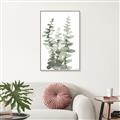 Picture of Eucalyptus Growing I _GroupedProduct_Rectangle_Portrait_Canvas_Framed_