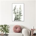 Picture of Eucalyptus Growing I _GroupedProduct_Rectangle_Portrait_Canvas_Framed_