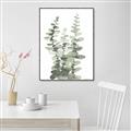 Picture of Eucalyptus Growing I _GroupedProduct_Rectangle_Portrait_Canvas_Framed_