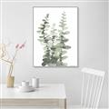 Picture of Eucalyptus Growing I _GroupedProduct_Rectangle_Portrait_Canvas_Framed_