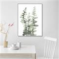 Picture of Eucalyptus Growing I _GroupedProduct_Rectangle_Portrait_Canvas_Framed_