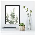 Picture of Eucalyptus Growing II  _GroupedProduct_Rectangle_Portrait_Canvas_Framed_