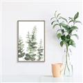 Picture of Eucalyptus Growing II  _GroupedProduct_Rectangle_Portrait_Canvas_Framed_
