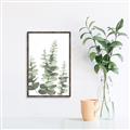 Picture of Eucalyptus Growing II  _GroupedProduct_Rectangle_Portrait_Canvas_Framed_