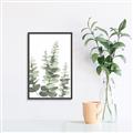 Picture of Eucalyptus Growing II  _GroupedProduct_Rectangle_Portrait_Canvas_Framed_