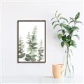 Picture of Eucalyptus Growing II  _GroupedProduct_Rectangle_Portrait_Canvas_Framed_