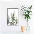 Picture of Eucalyptus Growing II  _GroupedProduct_Rectangle_Portrait_Canvas_Framed_