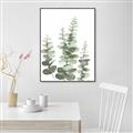 Picture of Eucalyptus Growing II  _GroupedProduct_Rectangle_Portrait_Canvas_Framed_