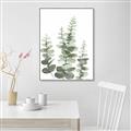 Picture of Eucalyptus Growing II  _GroupedProduct_Rectangle_Portrait_Canvas_Framed_