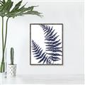 Picture of Fern on white  II _GroupedProduct_Rectangle_Portrait_Canvas_Framed_