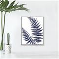 Picture of Fern on white  II _GroupedProduct_Rectangle_Portrait_Canvas_Framed_