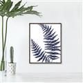 Picture of Fern on white  II _GroupedProduct_Rectangle_Portrait_Canvas_Framed_