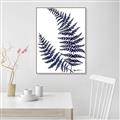Picture of Fern on white  II _GroupedProduct_Rectangle_Portrait_Canvas_Framed_