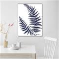 Picture of Fern on white  II _GroupedProduct_Rectangle_Portrait_Canvas_Framed_