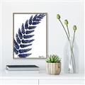 Picture of Fern on white I _GroupedProduct_Rectangle_Portrait_Canvas_Framed_