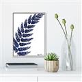 Picture of Fern on white I _GroupedProduct_Rectangle_Portrait_Canvas_Framed_