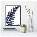 Picture of Fern on white I _GroupedProduct_Rectangle_Portrait_Canvas_Framed_