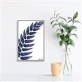 Picture of Fern on white I _GroupedProduct_Rectangle_Portrait_Canvas_Framed_