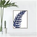 Picture of Fern on white I _GroupedProduct_Rectangle_Portrait_Canvas_Framed_