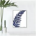 Picture of Fern on white I _GroupedProduct_Rectangle_Portrait_Canvas_Framed_