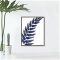 Picture of Fern on white I _GroupedProduct_Rectangle_Portrait_Canvas_Framed_